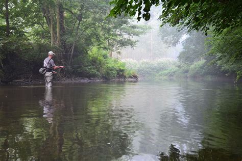 Forel vangen in de visserij van Bra